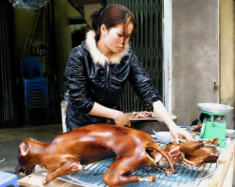 Dog meat.jpg