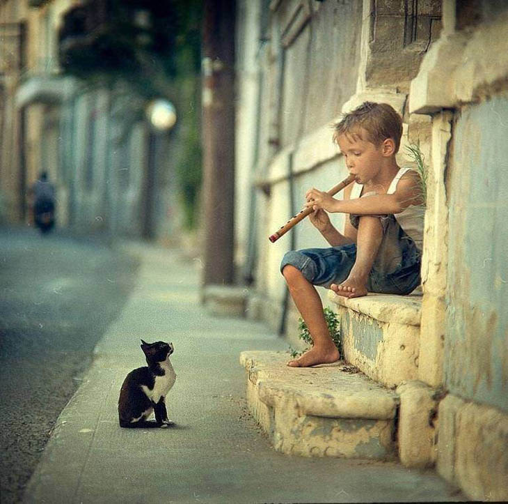 Kid and a cat.jpg