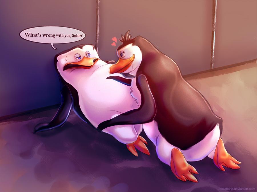 Gay penguins steal egg to become ‘proud’ parents
