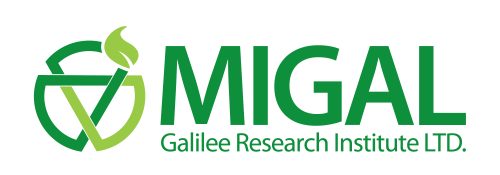 Israeli research lab claims it found cure for the coronavirus