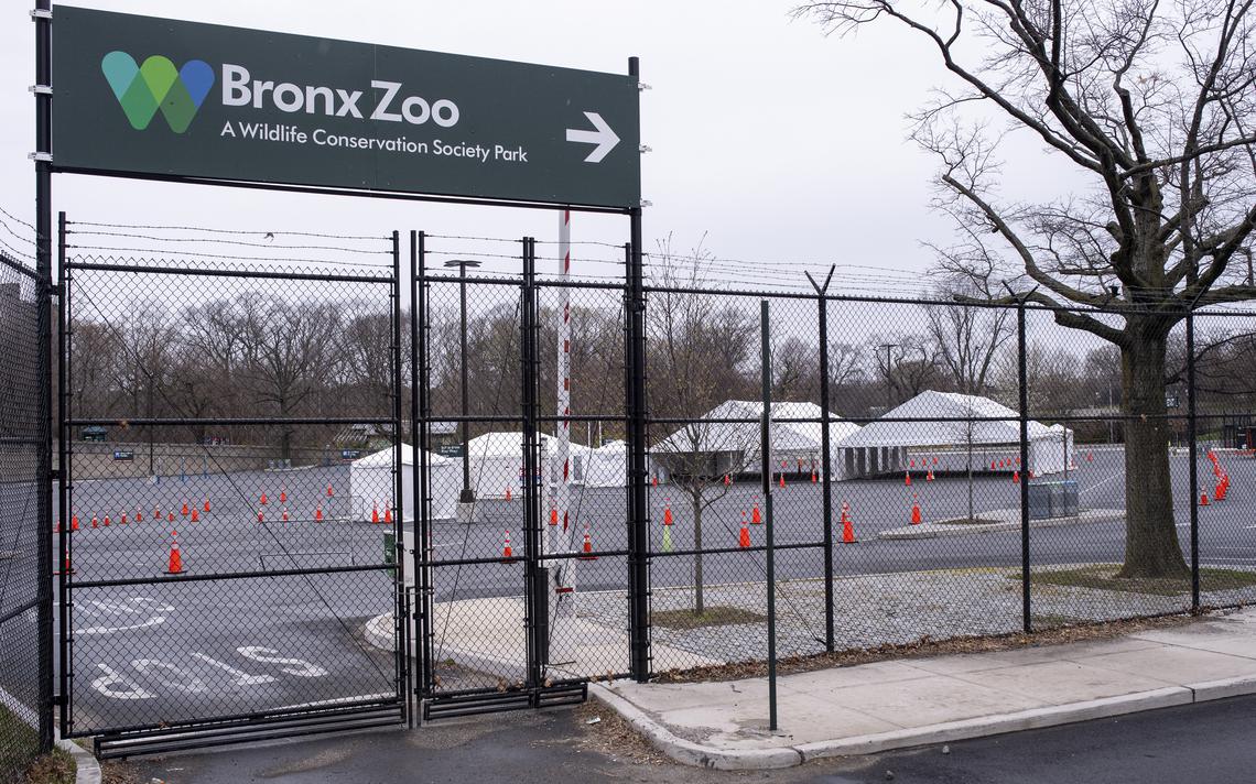 Bronx Zoo