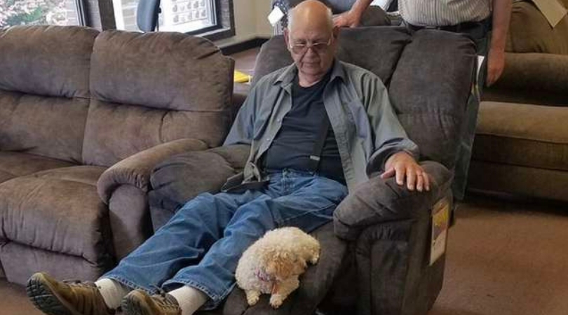 Grandpa lets dog decide which furniture he should buy