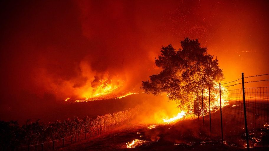 Brazil lost over $182m to wildfires in Sao Paulo