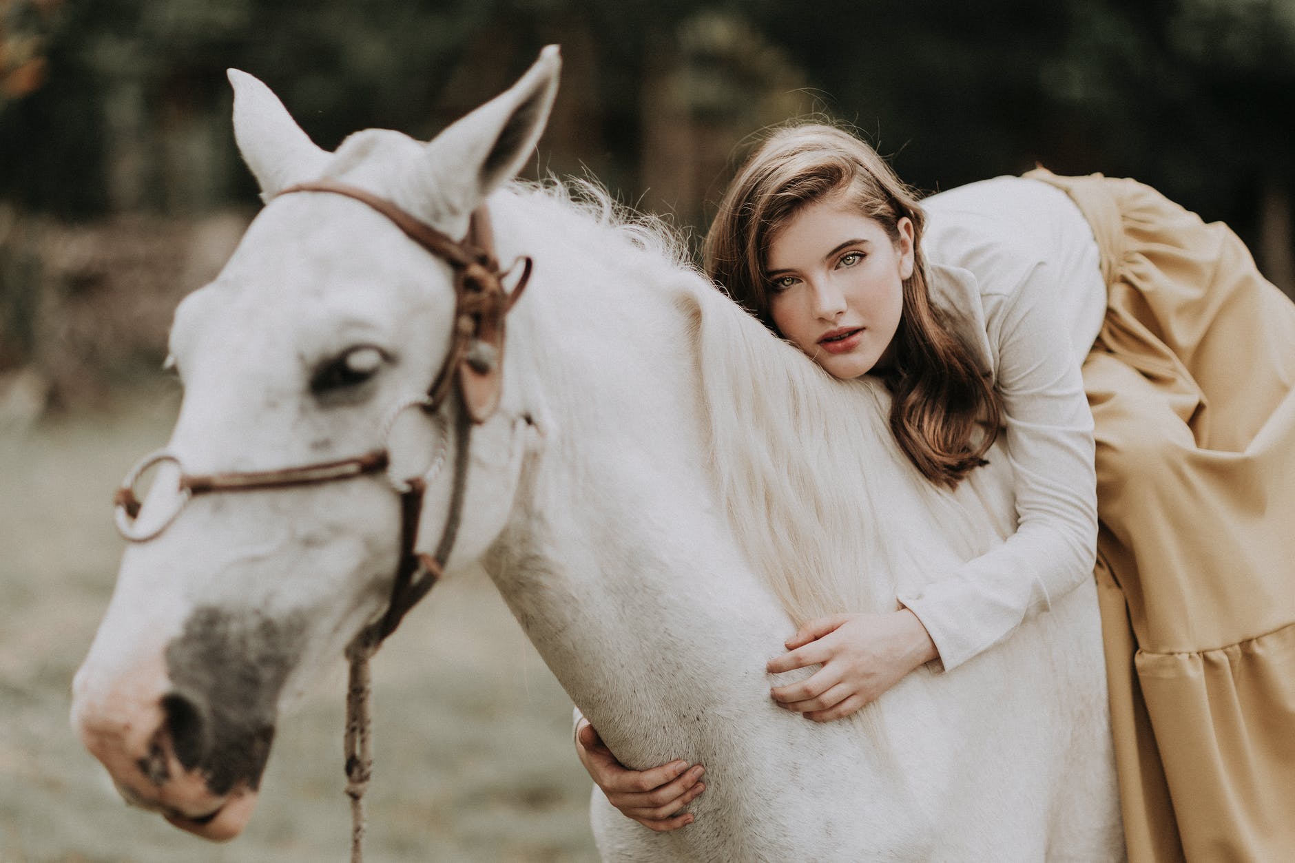 young woman lying on horse