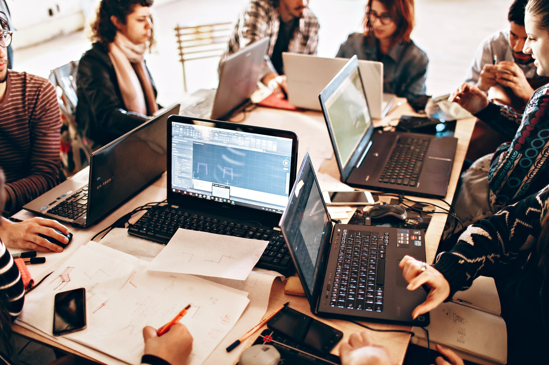 photo of people using laptop