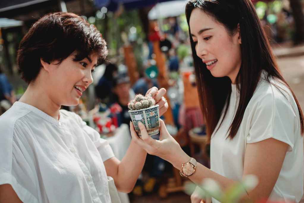 cheerful asian women looking at potted cactus in street market