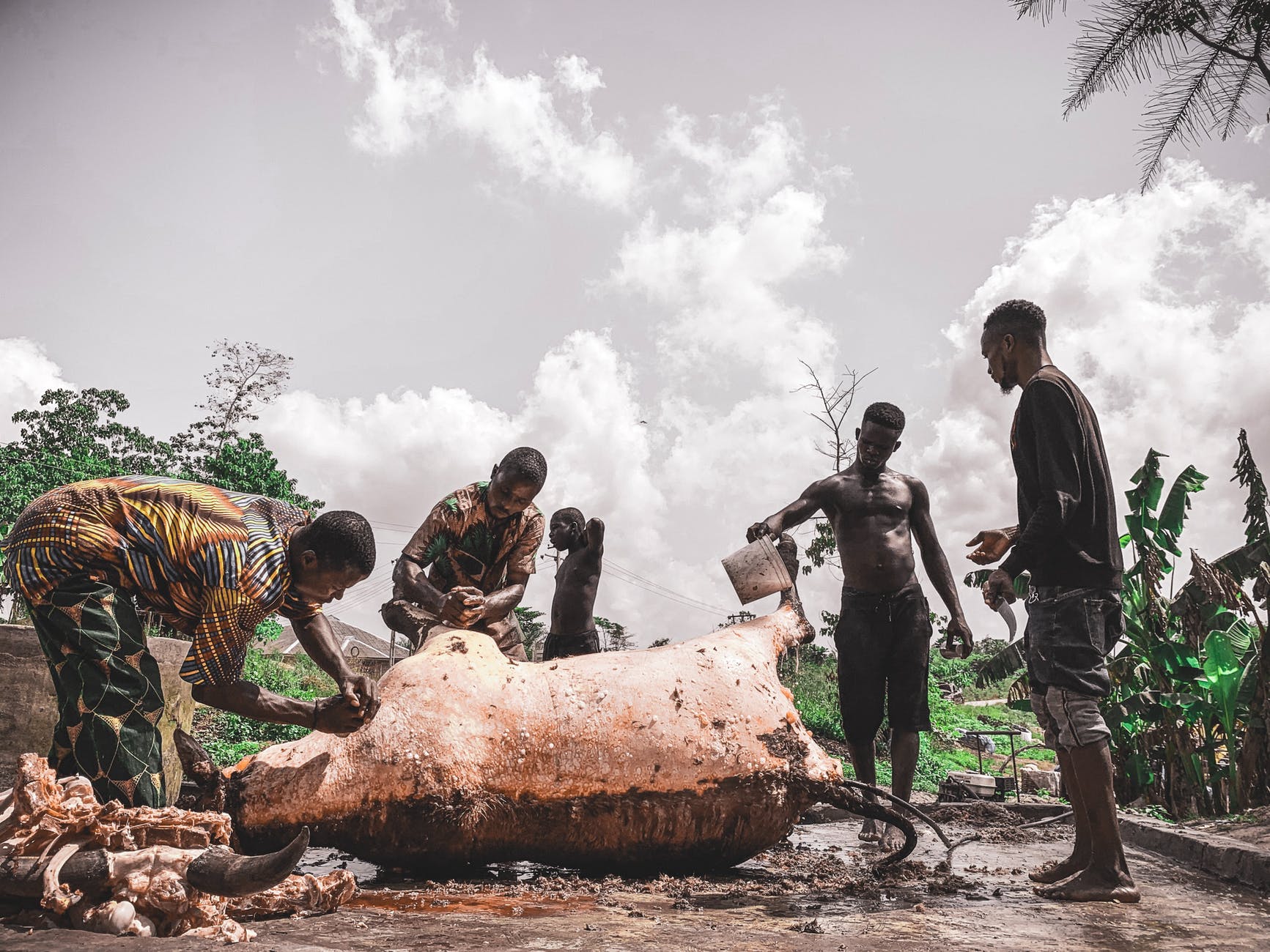 photo of people standing near animal