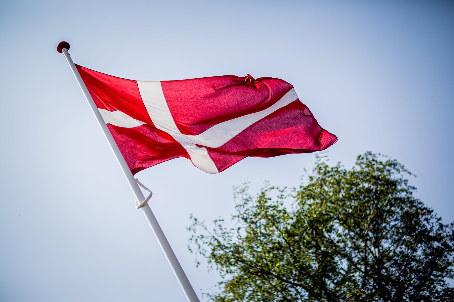 low angle shot photography of danish flag