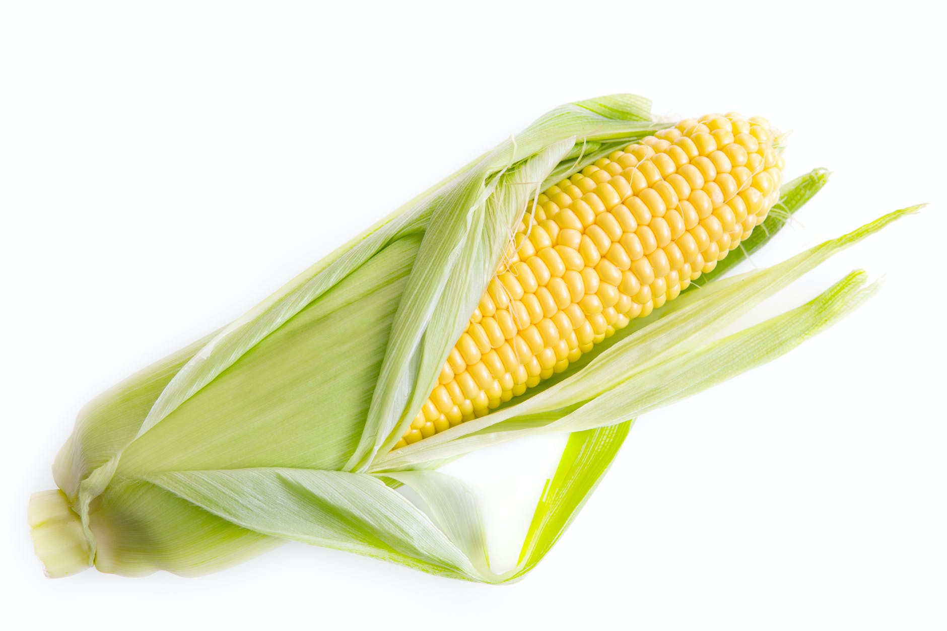 yellow corn