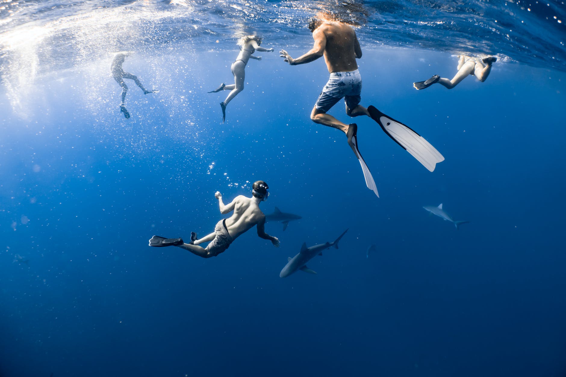 a people underwater with sharks