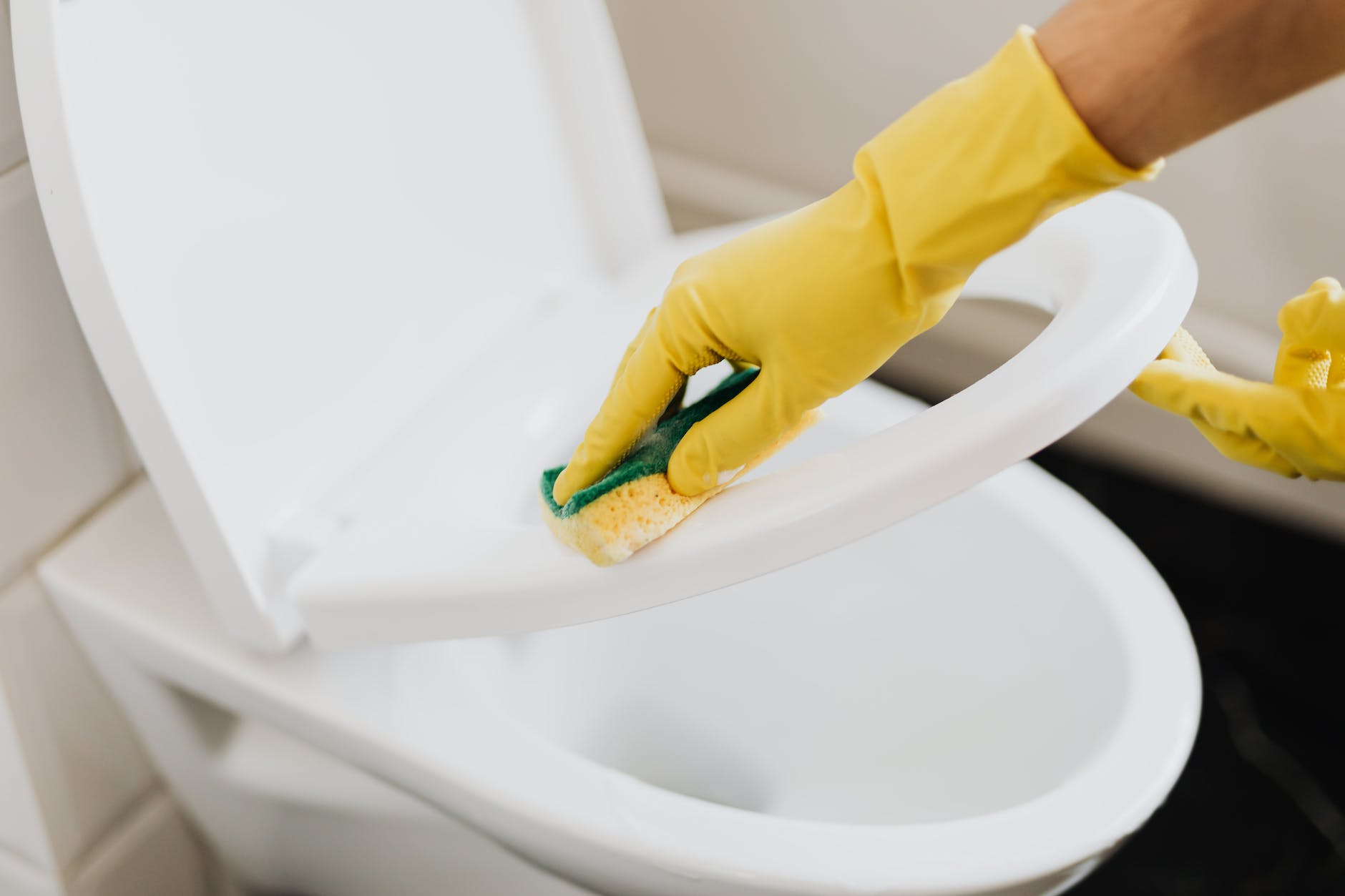 crop person cleaning toilet seat with sponge
