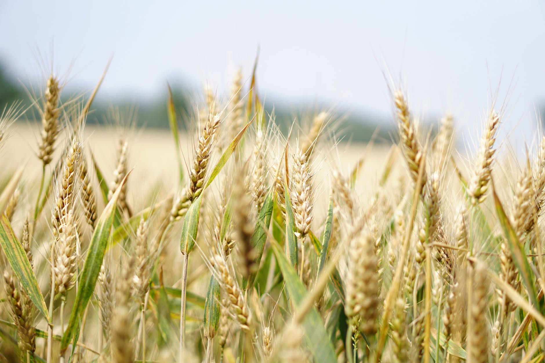 ‘Develop national soil information system to avoid hunger’- Don warns FG