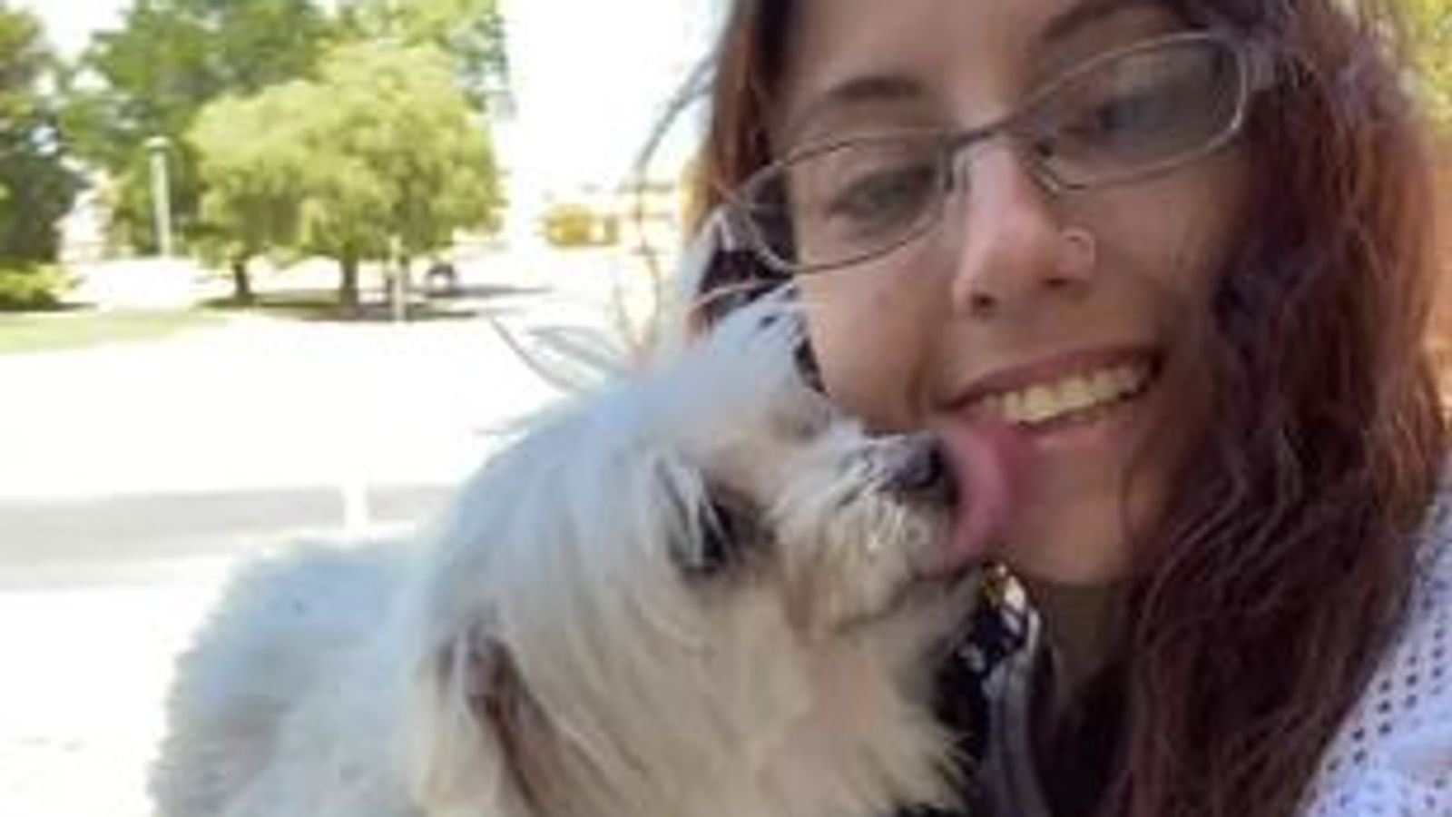 Pet owner throws dog from a multi-storey building, claims it’s an act of kindness