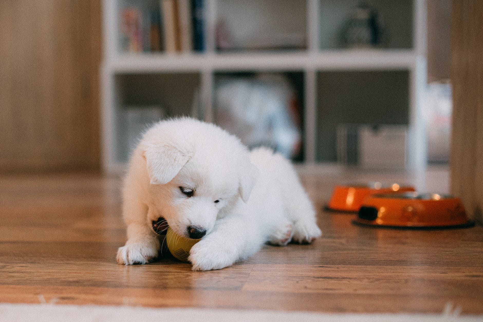 Tips to reduce biting in children