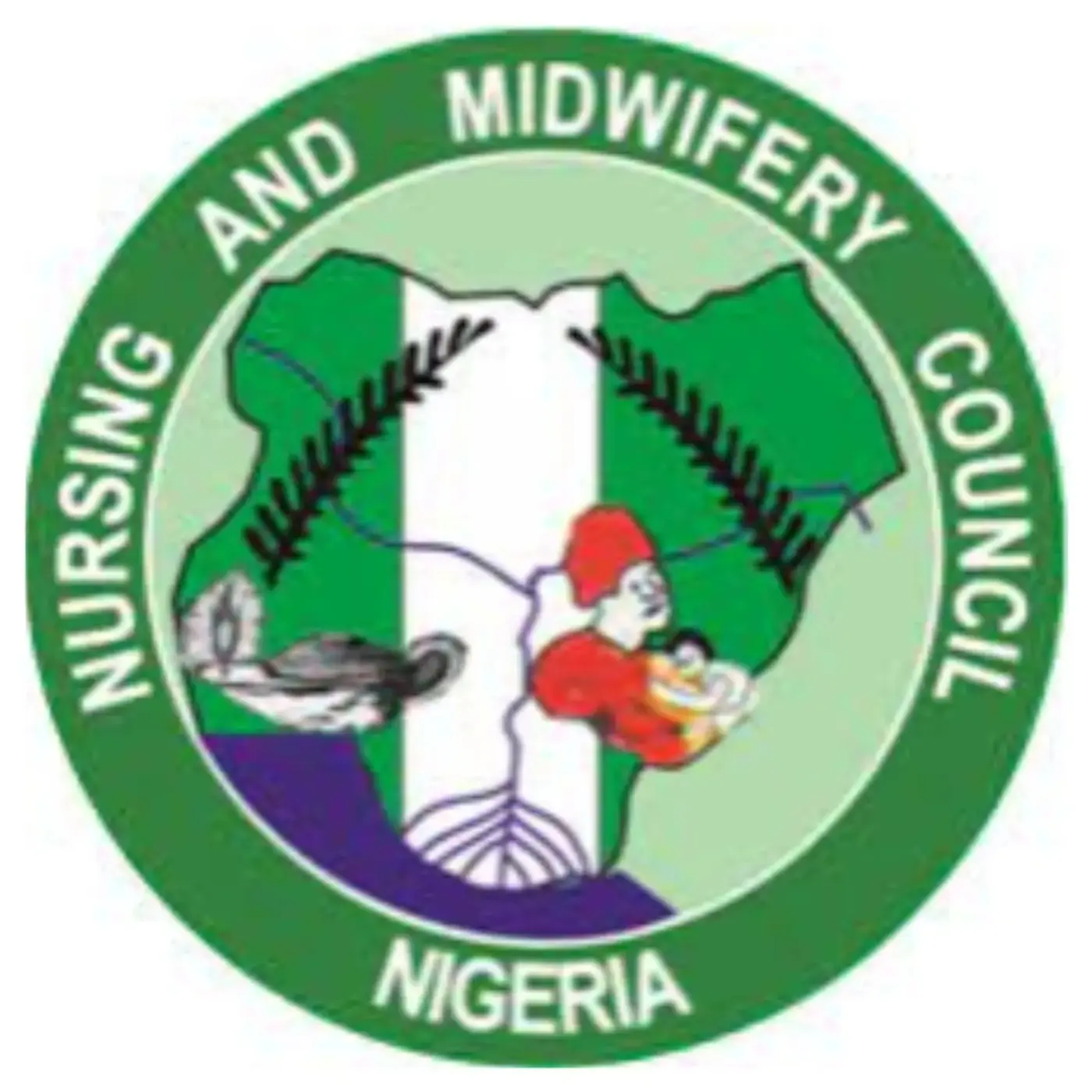 Japa: Nigerian nurses petition court to stop new NMCN law