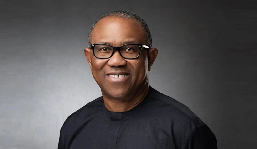 2027: ADC concerned about Peter Obi’s rumoured move to PDP