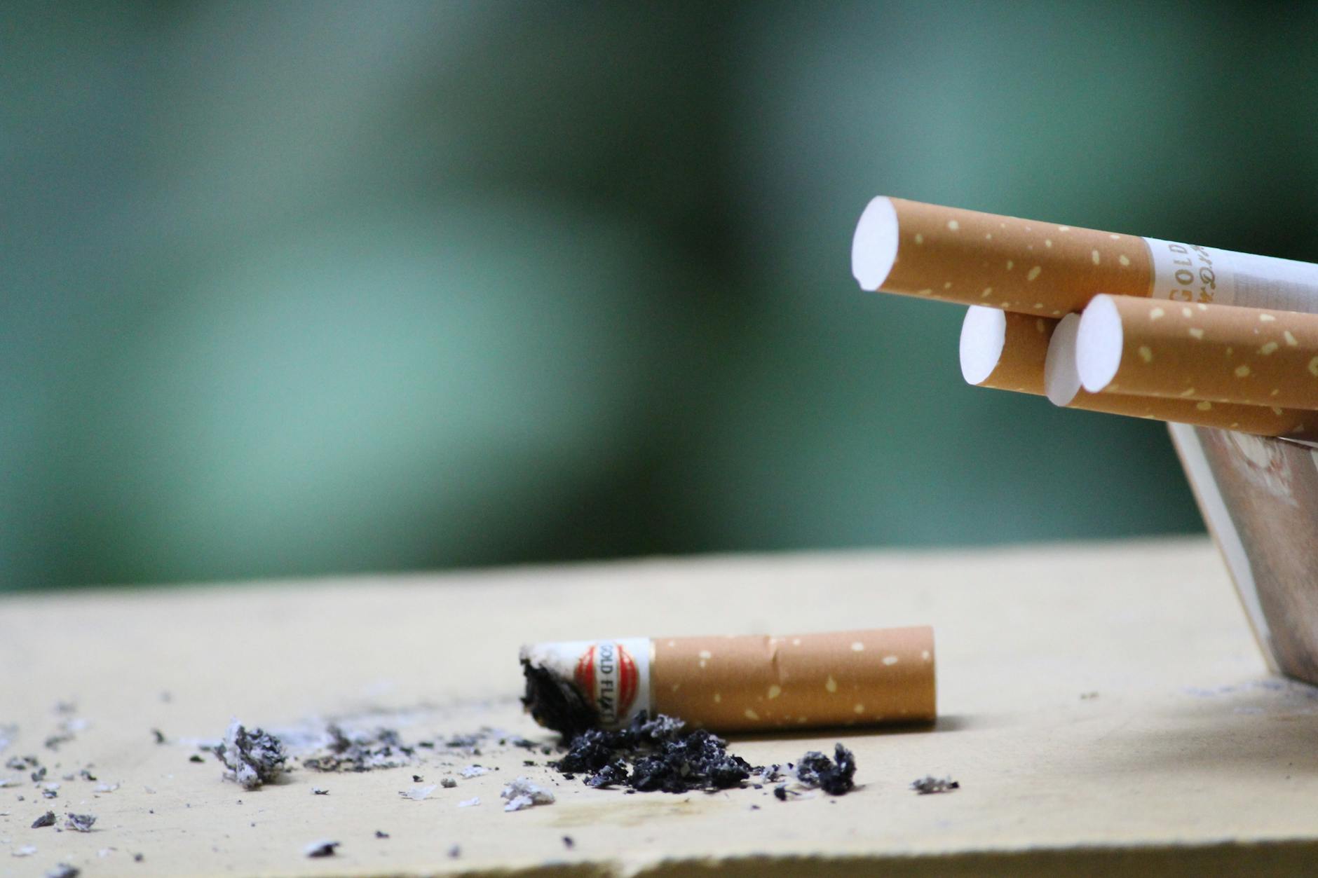 Africa neglecting benefits from global tobacco trade
