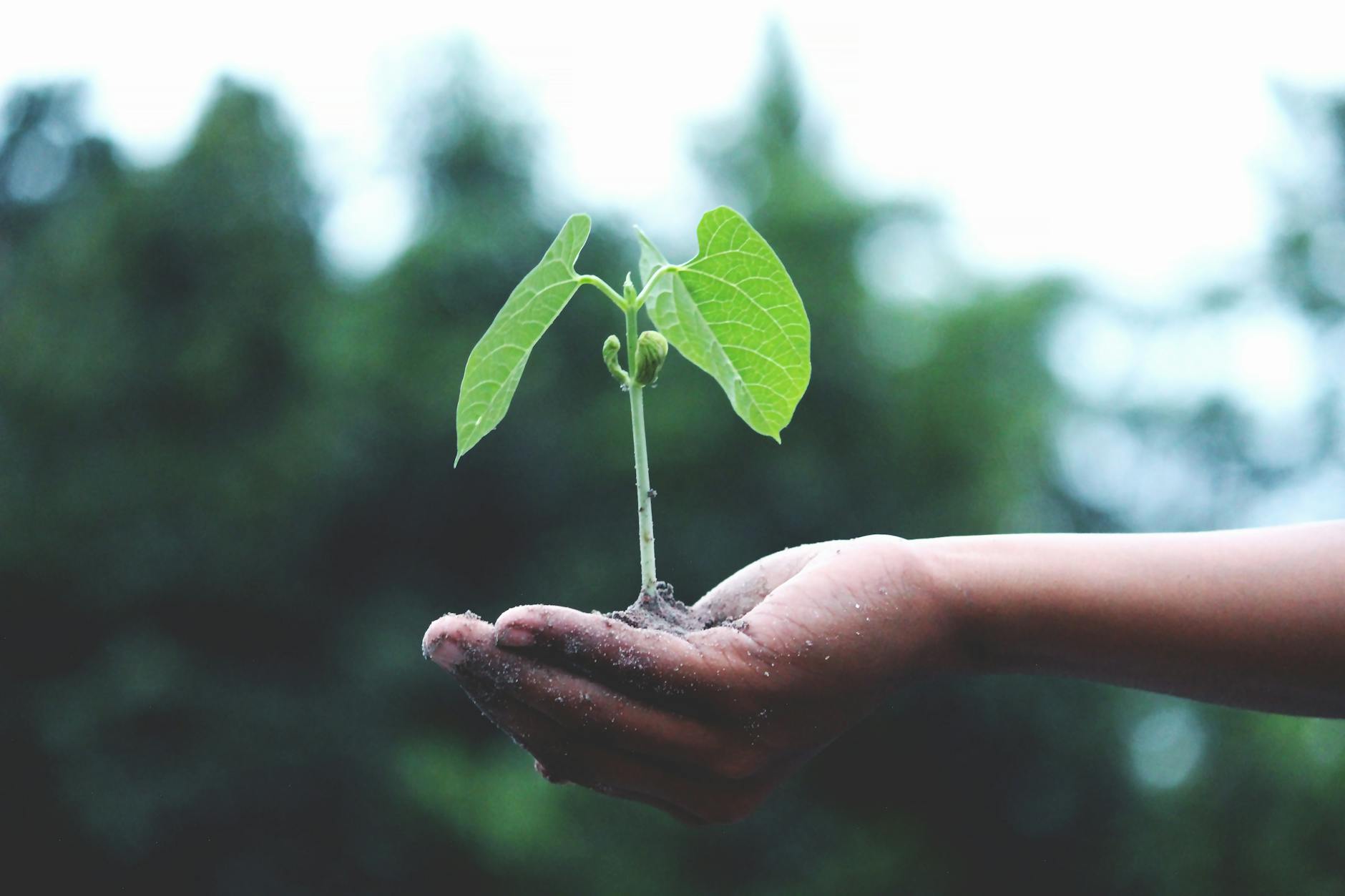 Laos collaborating with stakeholders to improve investment climate
