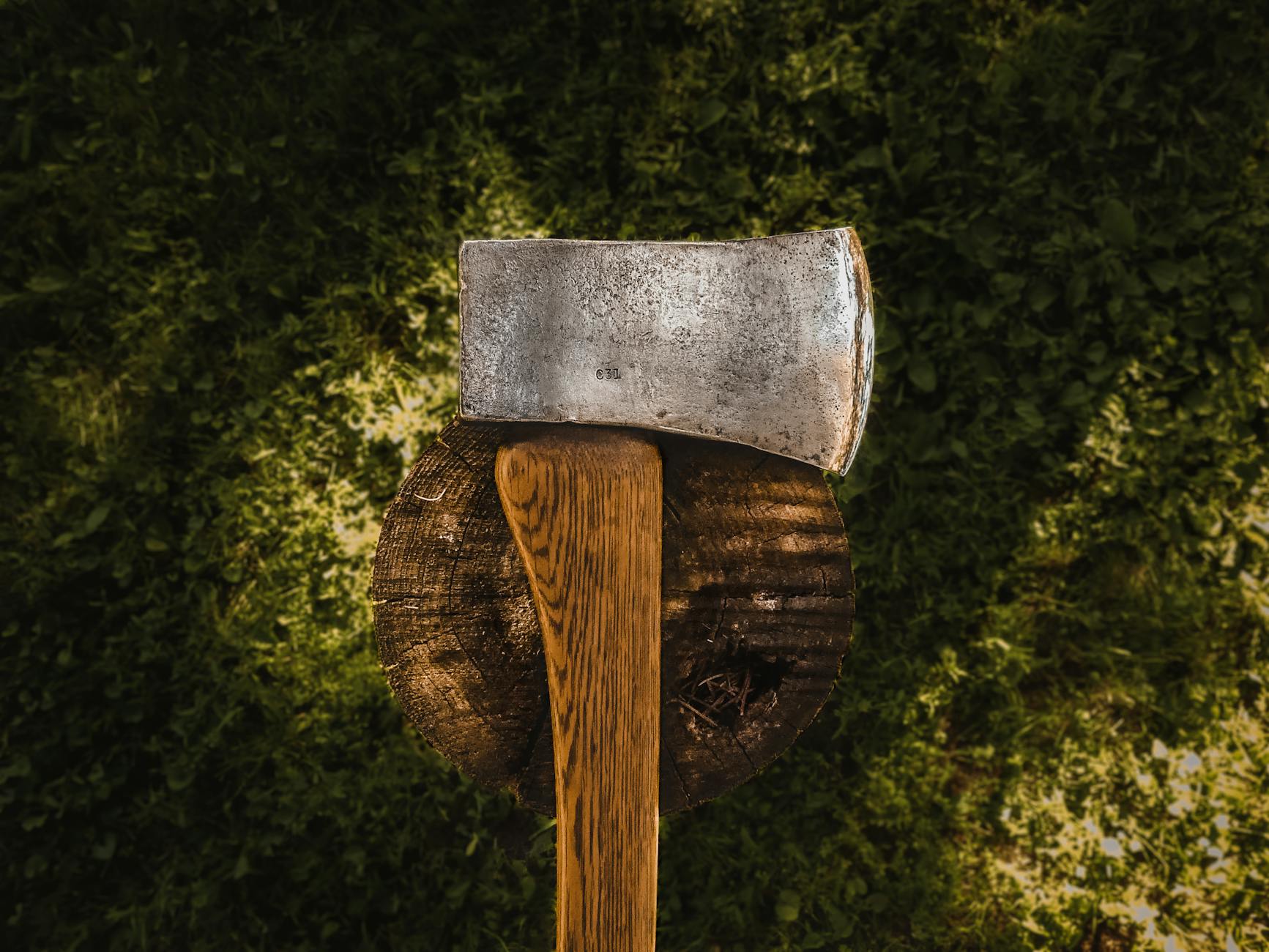 THREAT TO LIVES: German police shoot man waving axe ‘dangerously’