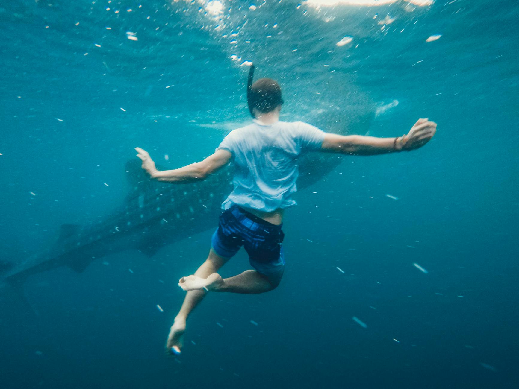 Shark bites off teenager’s leg in Belize