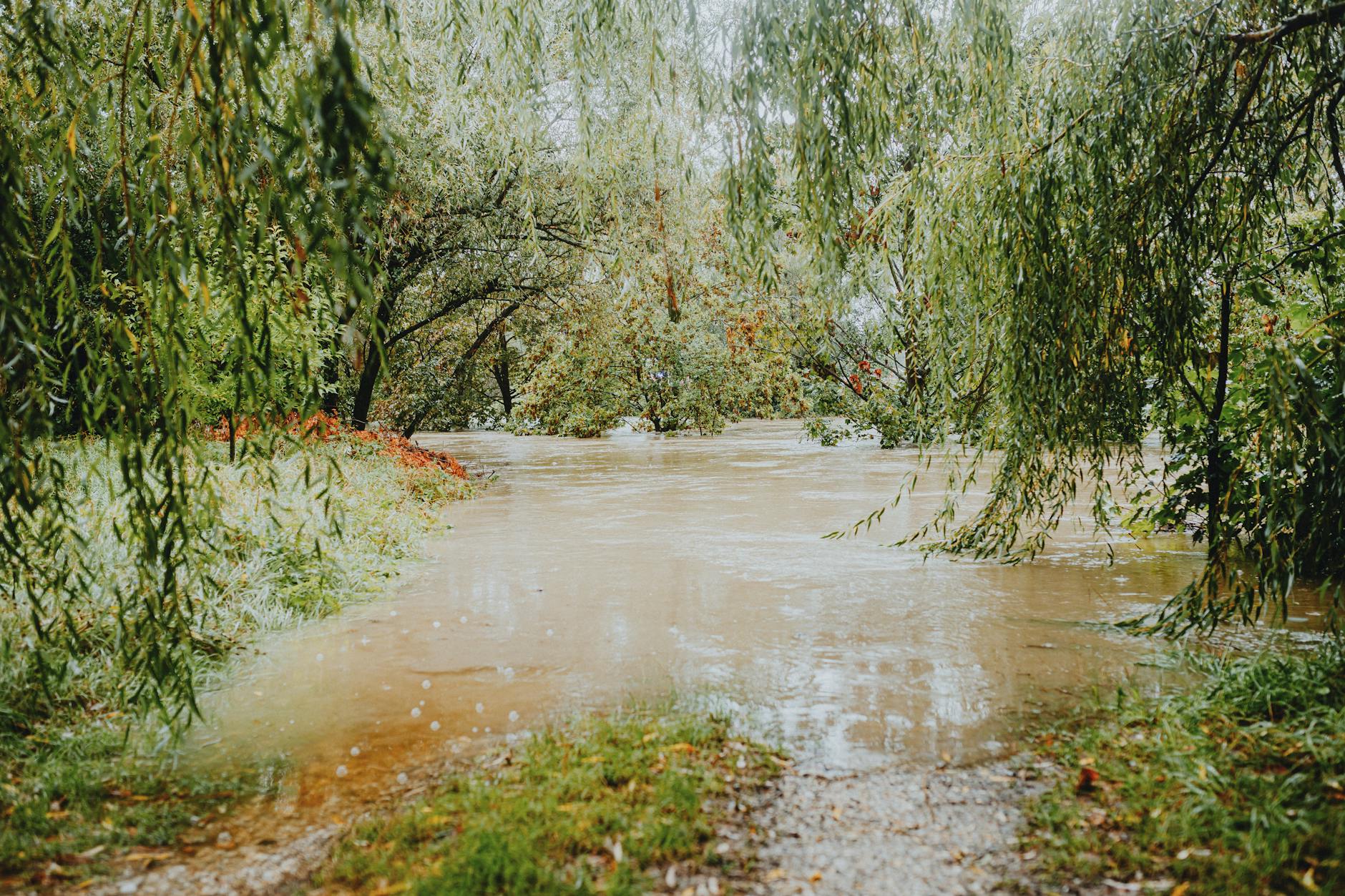 Farmers hit by adverse weather to get 120m euros from the EU