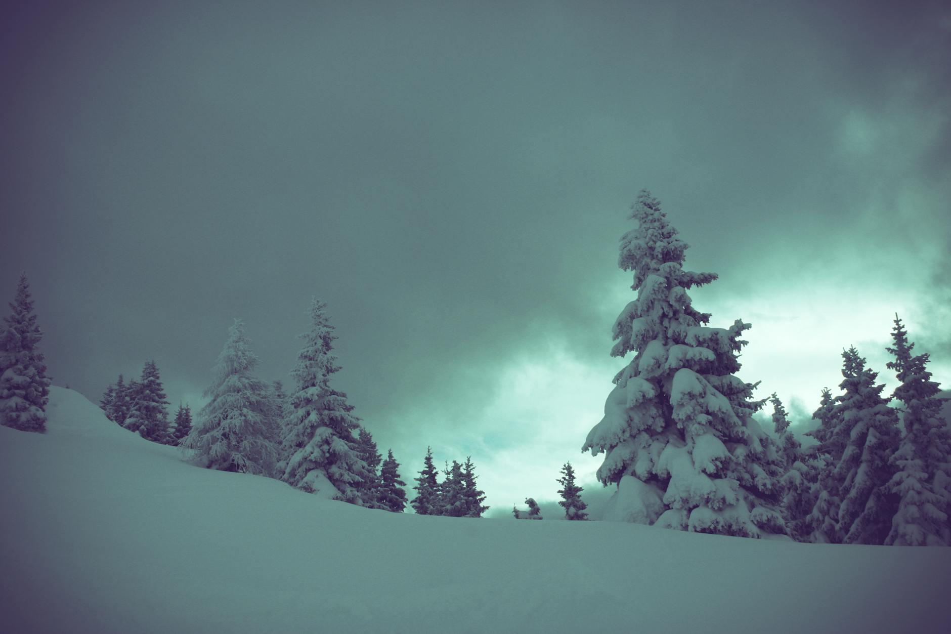 Quietude
