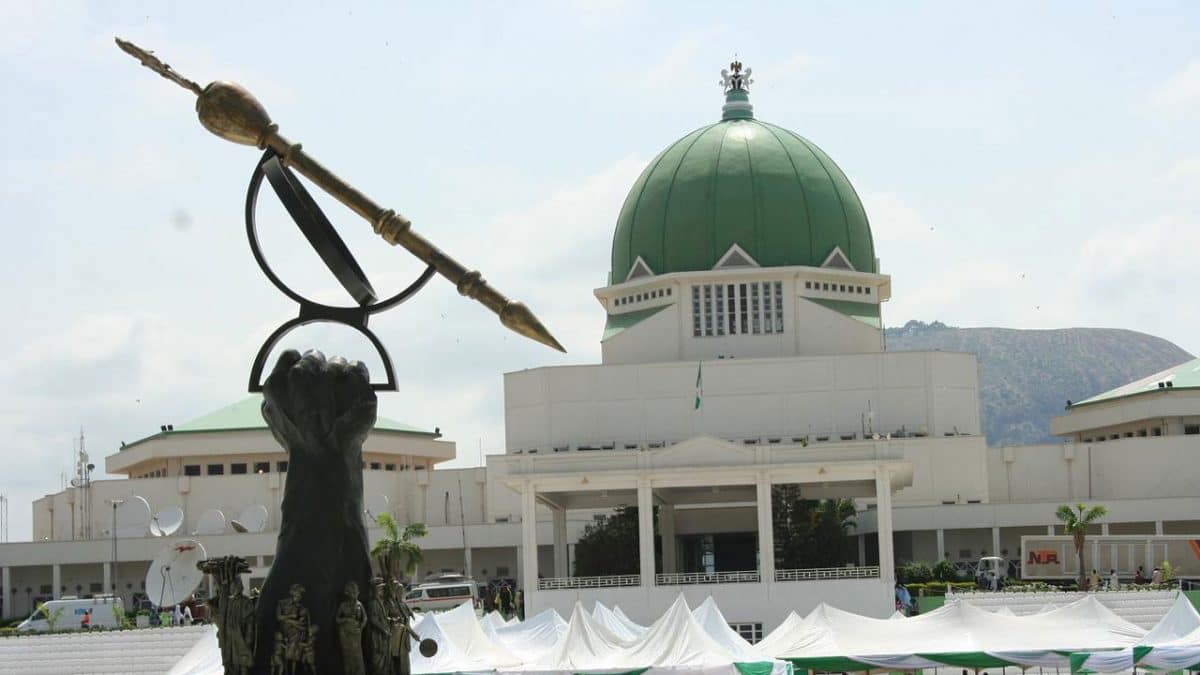 Shock, confusion in National Assembly as IGP presents 2025 budget