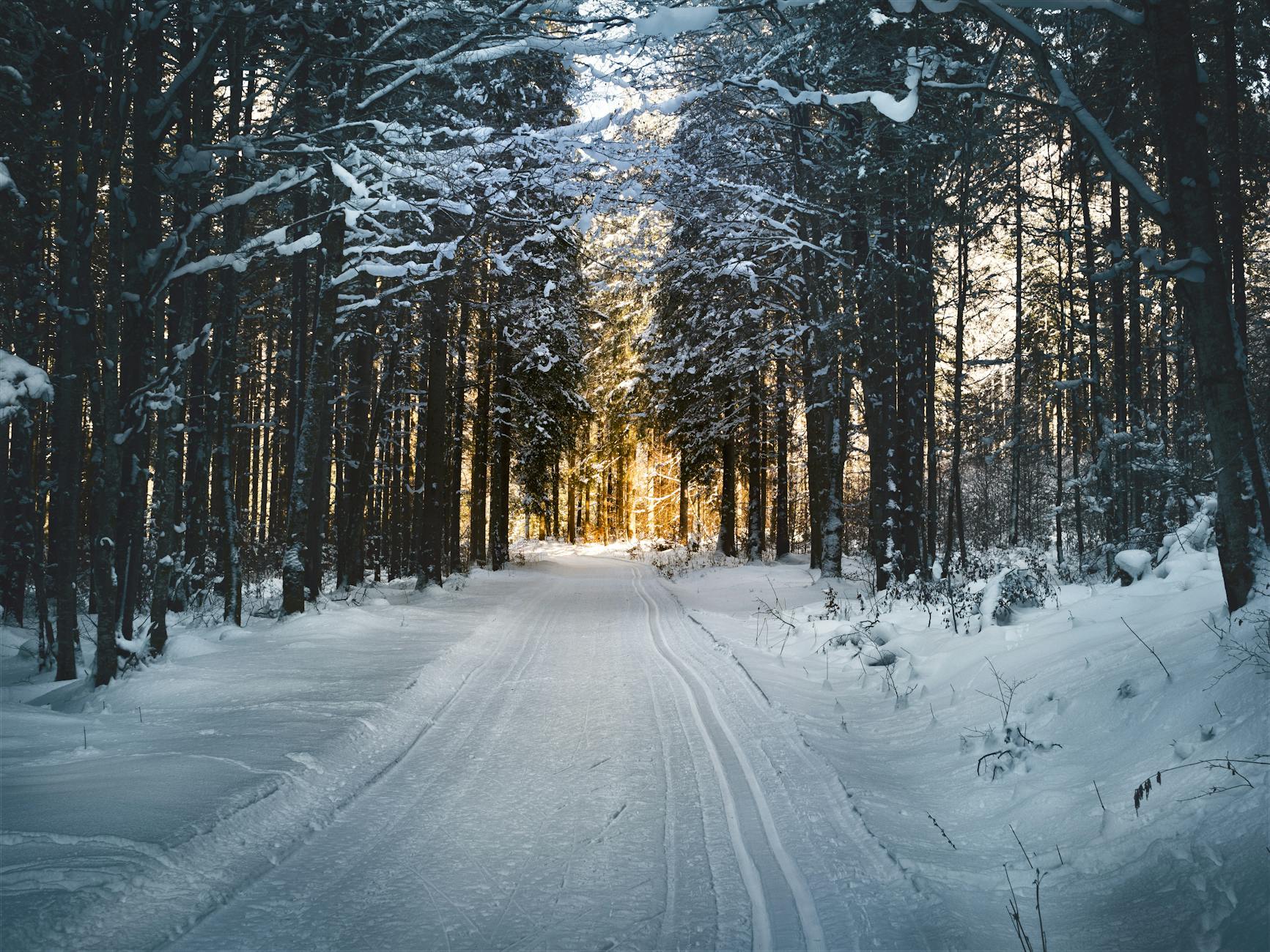 Explained: What are weather warnings and how do they work?