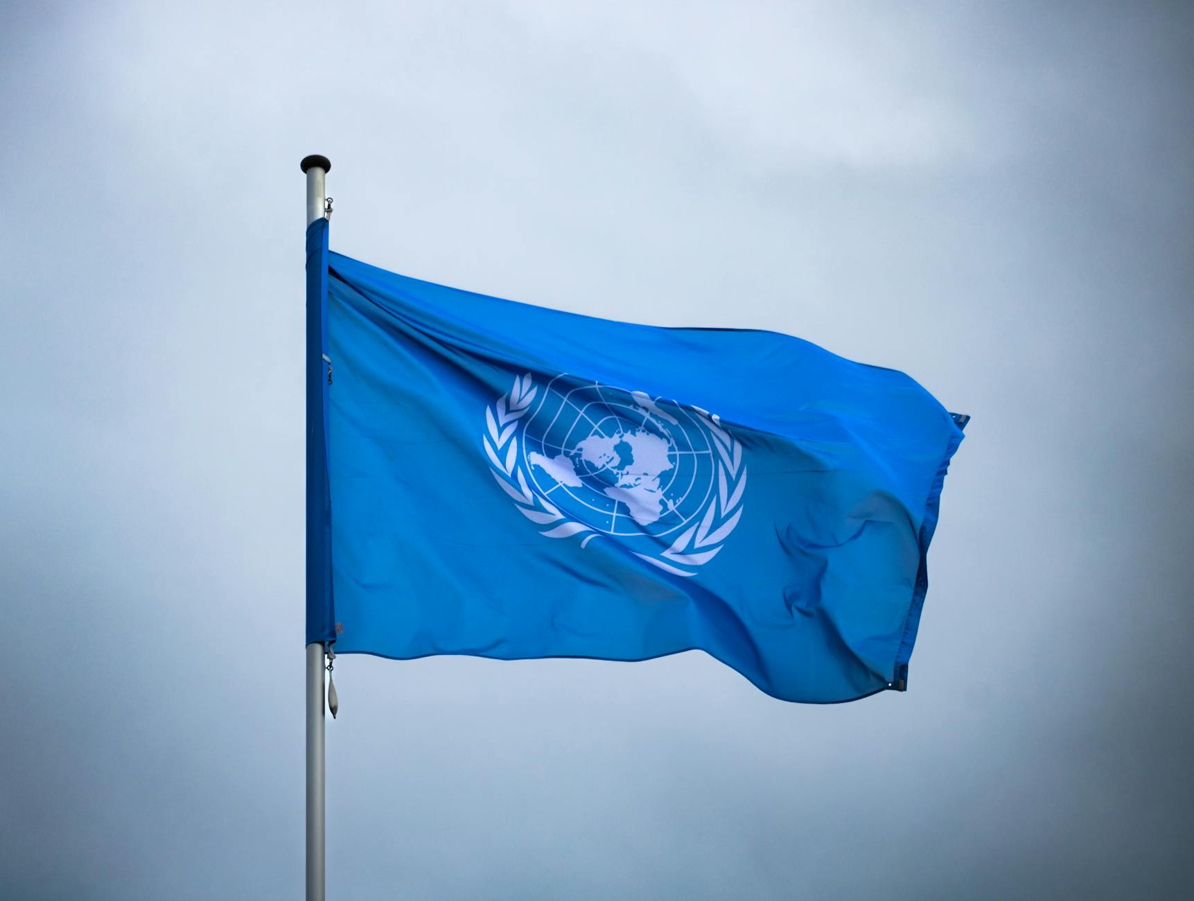 UN job opportunity alert