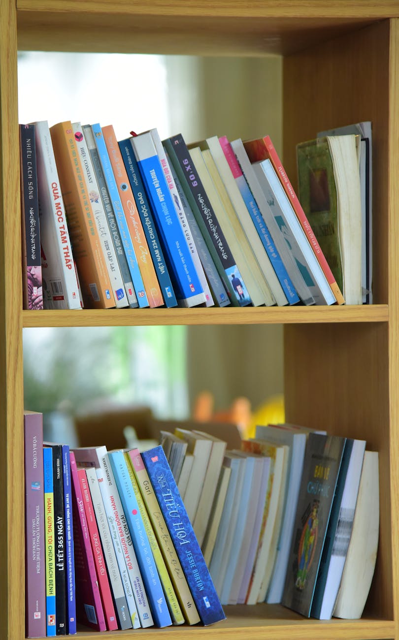 bookshelf with various books in bright room