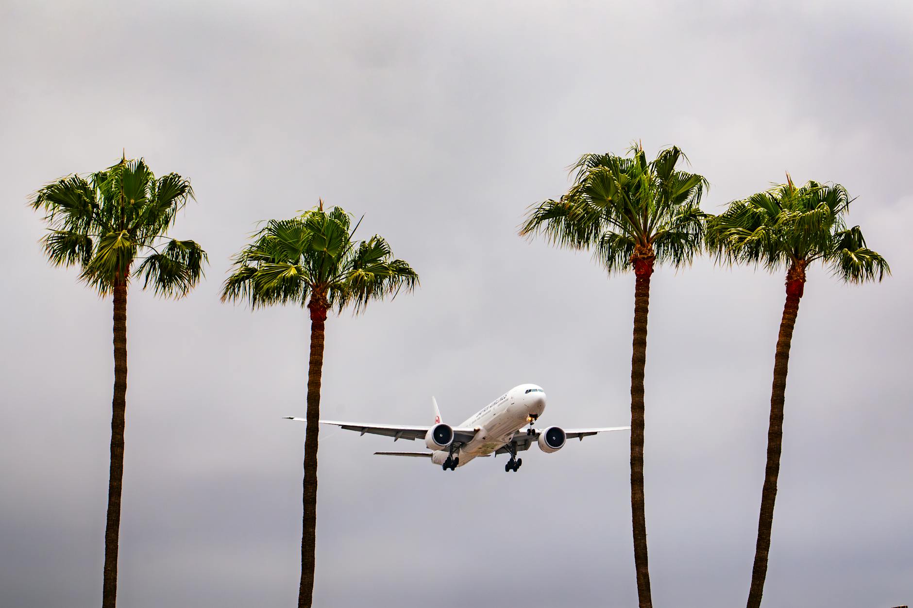Buy flights as soon as possible to avoid higher fares, Britons told