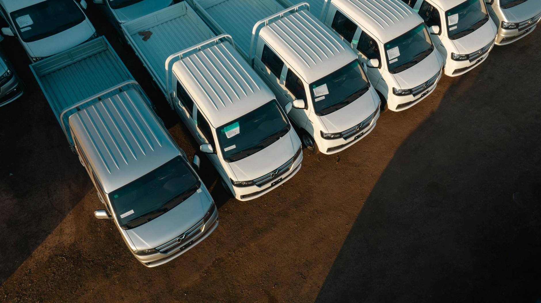 aerial view of white pickup trucks aligned in a row