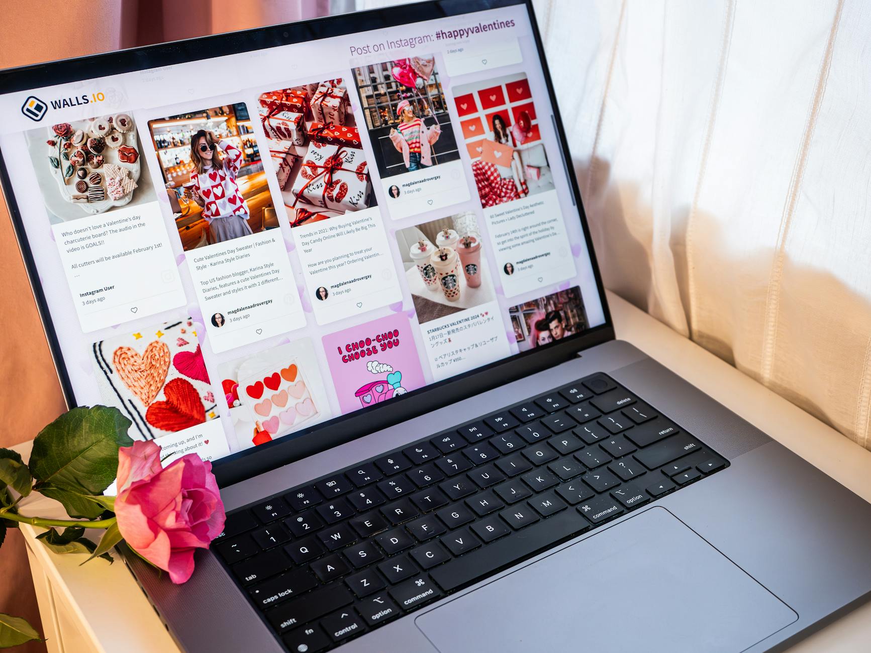 pink rose on the laptop