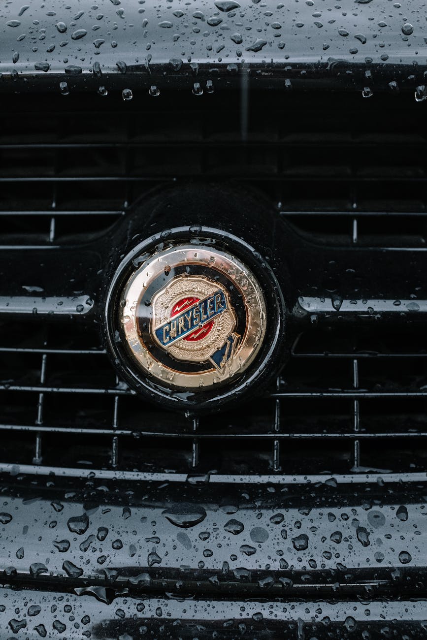 black and brown car grille