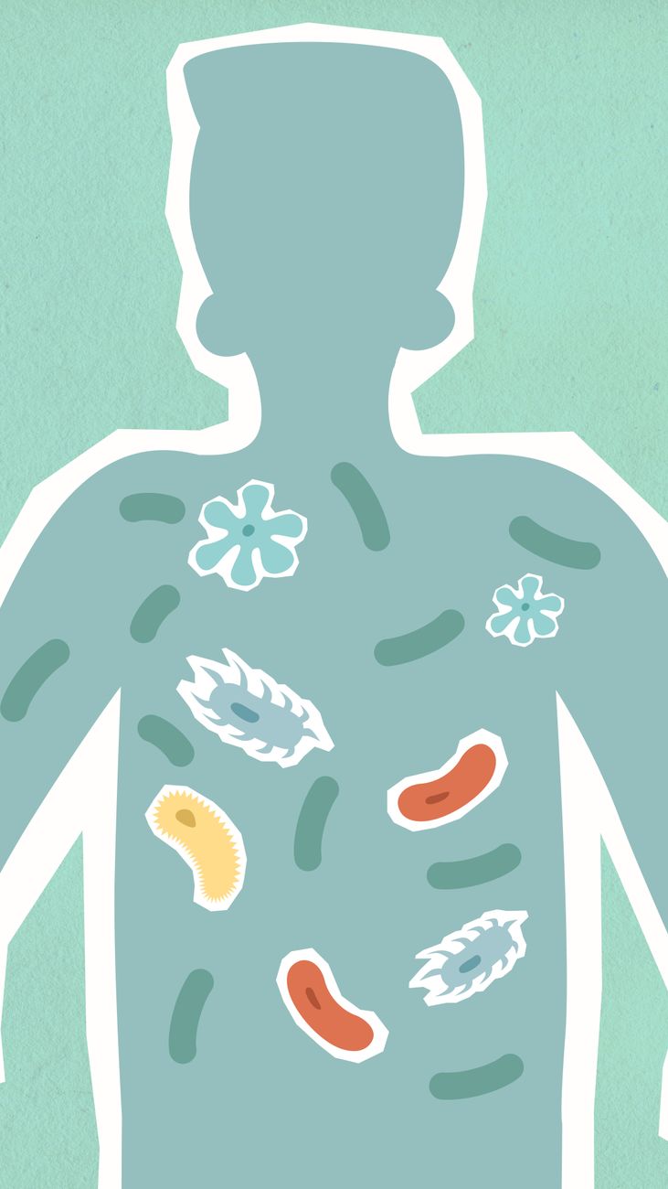 Gut Health & The Next Generation of Biotics