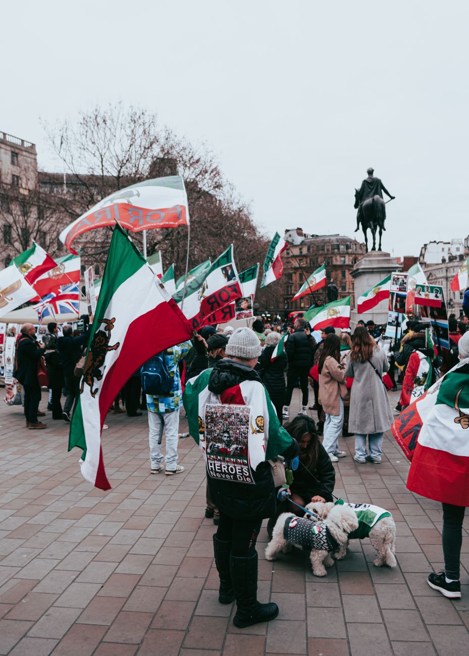 view of a crowd holding flags protesting on a street in city